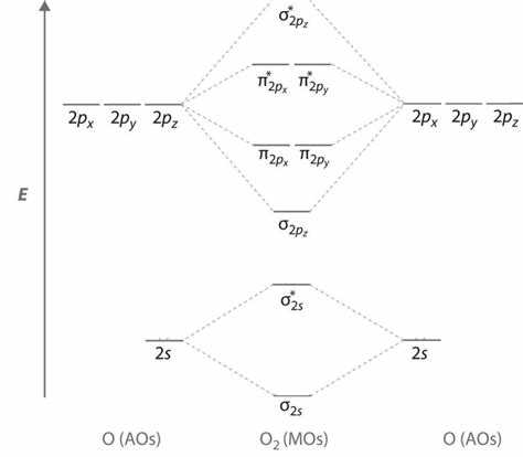 Unraveling The Secrets Of Oxygen The Orbital Diagram